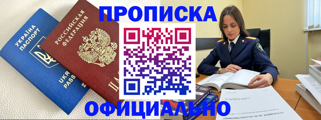прописка поиск в Павловске